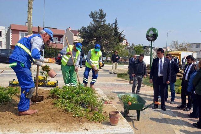 “yeşil Bursa” Osmangazi’de Hayat Buluyor