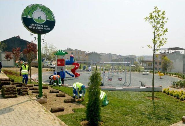 “yeşil Bursa” Osmangazi’de Hayat Buluyor 2