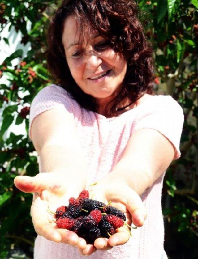 Erkenci Dut Şaşırttı 1