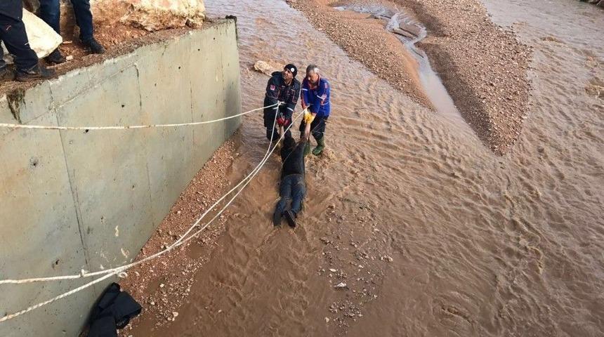 Sel Sularına Kapılan Kişi Hayatını Kaybetti