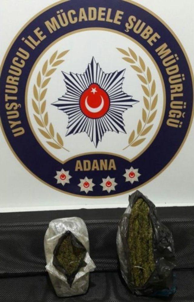 Adana’da 180 Kilo Esrar Ele Geçirildi