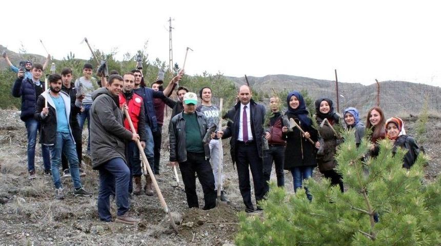 Gen&ccedil;ler Fidan Dikti