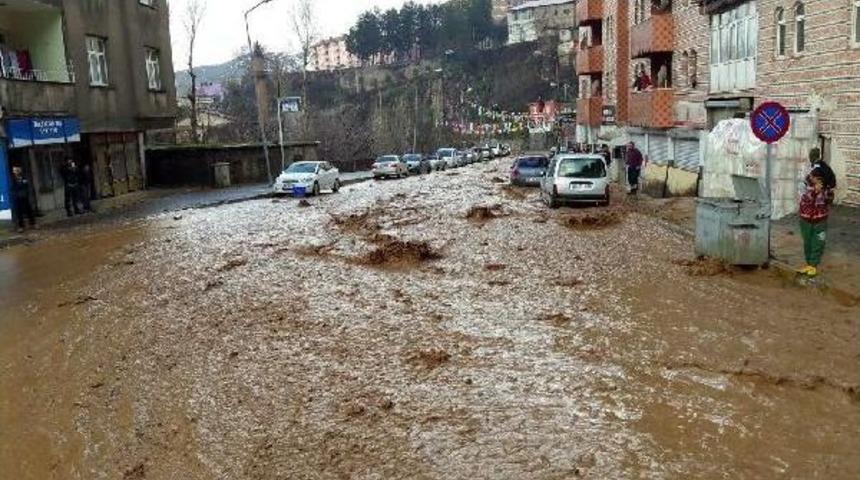 Bitlis Sele Teslim