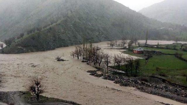 Bitlis Sele Teslim