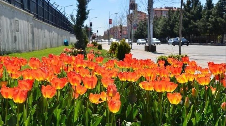 (d&uuml;zeltme) Diyarbakır &Ccedil;i&ccedil;ek Bah&ccedil;esine D&ouml;n&uuml;şt&uuml;