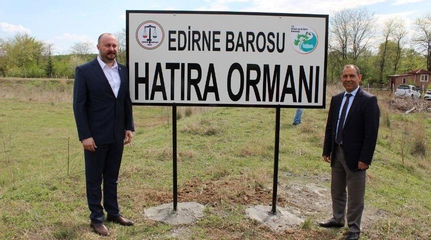 Edirne Barosu Hatıra Ormanına 300 Adet Ihlamur Fidanı Dikildi