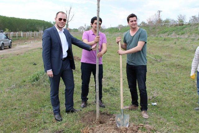 Edirne Barosu Hatıra Ormanına 300 Adet Ihlamur Fidanı Dikildi 2