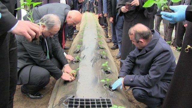 Artvin’de Sera Atağı