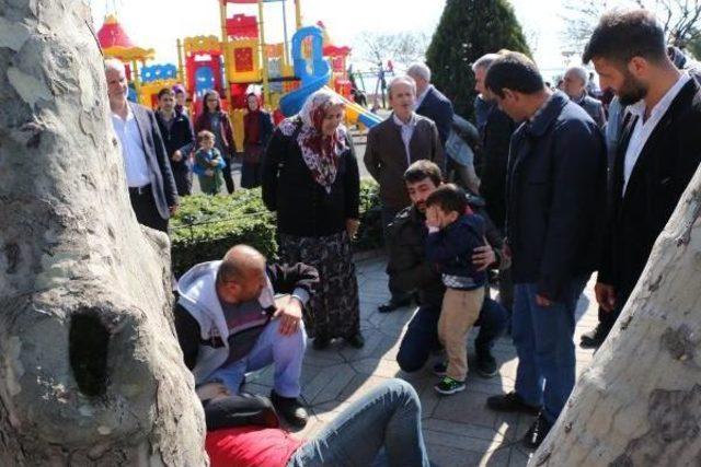 Oğlunun Balonunu Almak Için Çıktığı Ağaçtan Düşüp Yaralandı