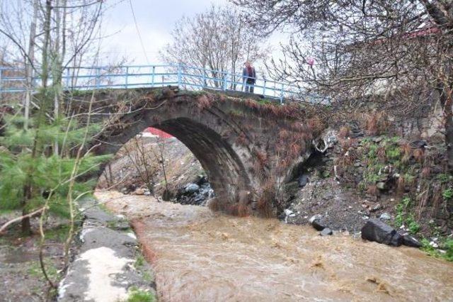 Bitlis Sele Teslim (2) 1