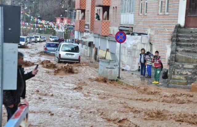 Bitlis Sele Teslim (2) 2