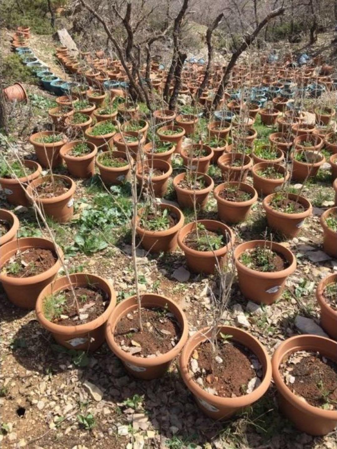 Diyarbakır&rsquo;da 1 Ter&ouml;rist &Ouml;l&uuml; Ele Ge&ccedil;irildi