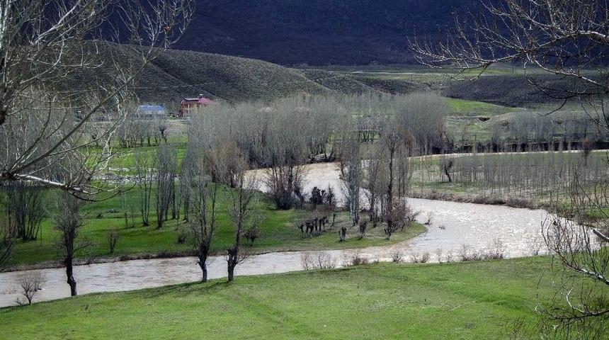 &Ccedil;amurlu Sular, Munzur &Ccedil;ayı&rsquo;nın Rengini Değiştirdi