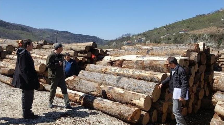Yığılca&rsquo;da Orman &Uuml;r&uuml;nleri Depoları Denetlendi