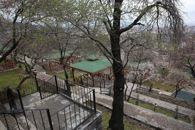 Eşsiz Manzarada Büyükşehir Hizmeti 1