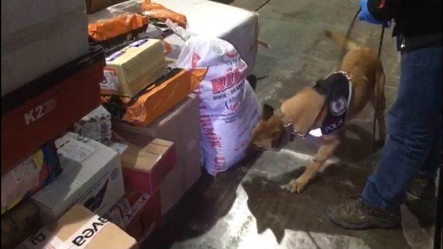 Narkotik Köpekleri ’lisa’ Ve ’şila’ Uyuşturucu Tacirlerinin Korkulu Rüyası