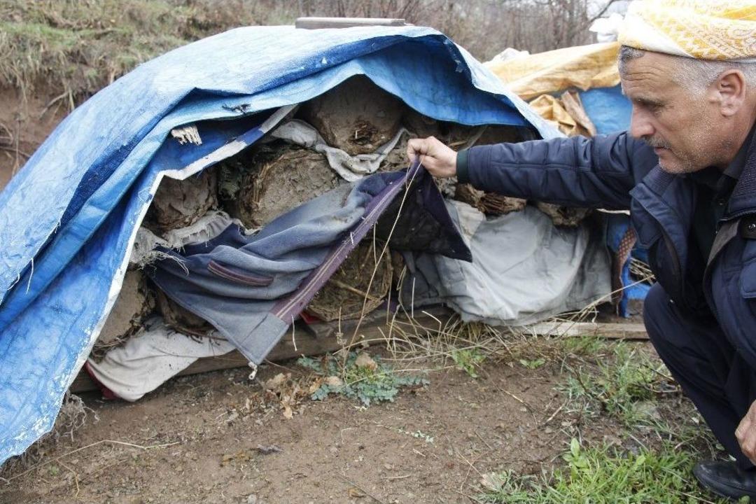 Şemdinli&rsquo;de Arı &Ouml;l&uuml;mleri