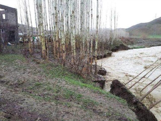 Muş'ta Sel Ve Taşkınlardan 40 Ev Zarar Gördü