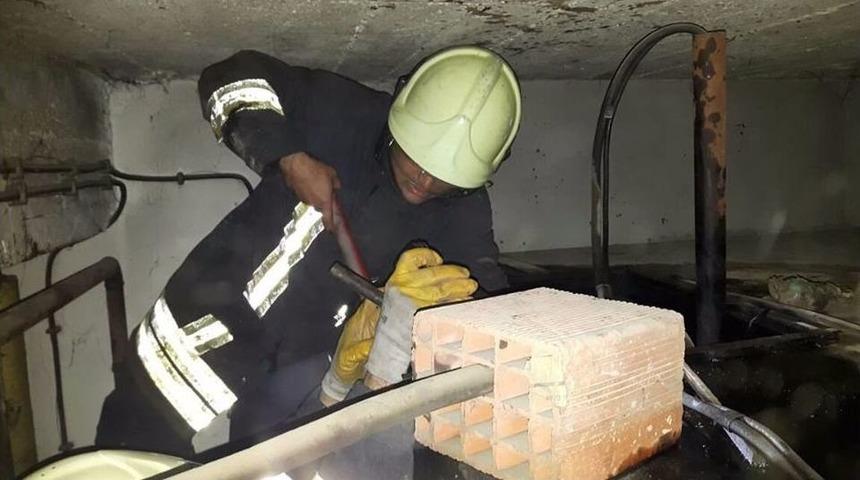 Denizli&rsquo;de Akaryakıt Tankına Sıkışan Kediyi İtfaiye Ekipleri Kurtardı