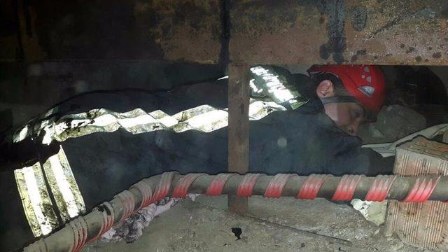 Denizli’de Akaryakıt Tankına Sıkışan Kediyi İtfaiye Ekipleri Kurtardı 1