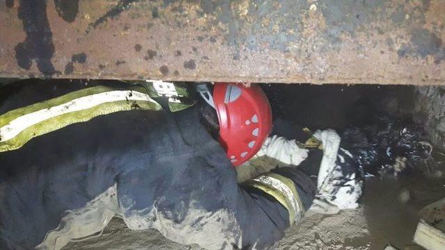 Denizli’de Akaryakıt Tankına Sıkışan Kediyi İtfaiye Ekipleri Kurtardı 2