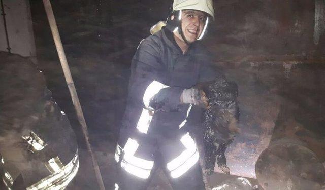 Denizli’de Akaryakıt Tankına Sıkışan Kediyi İtfaiye Ekipleri Kurtardı 3