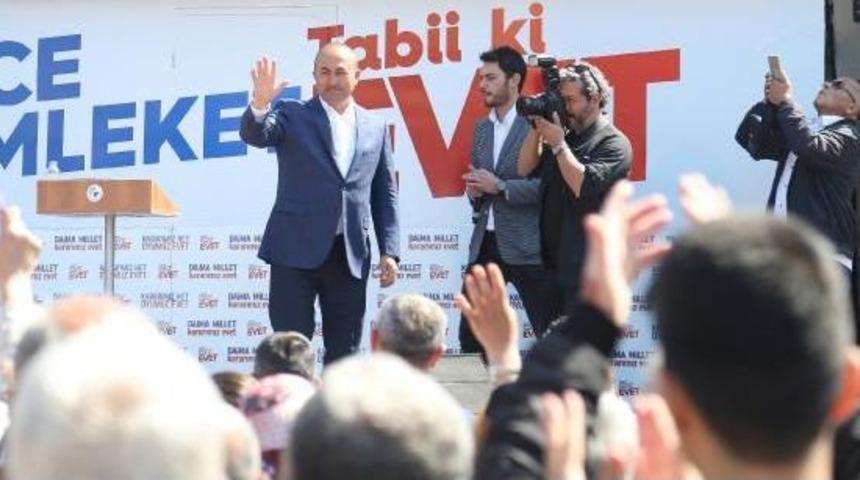 &Ccedil;avuşoğlu: Alman Alternatif Parti, İstanbul'da Miting Yapacak