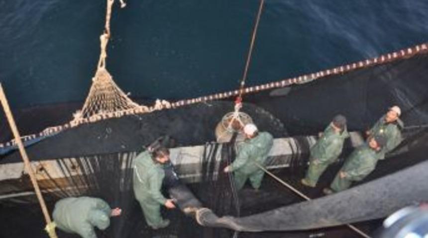 M&uuml;d&uuml;rden Avlanma Uyarısı