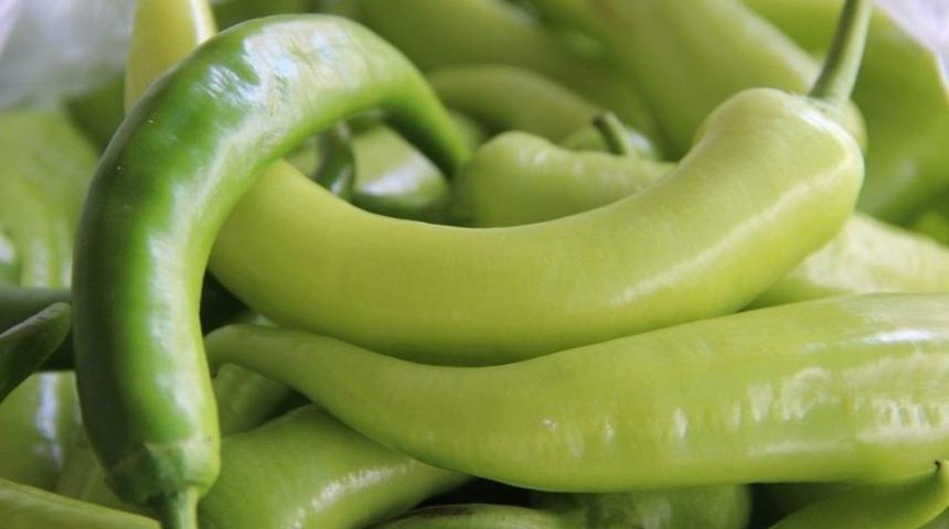 Şanlıurfa&rsquo;da Yeşil Biberde Rekor D&uuml;ş&uuml;ş