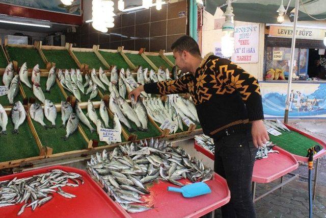 Sıcak Hava Balık Fiyatlarını Düşürmedi