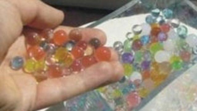 Su Maymunu Oyuncağına Dikkat!