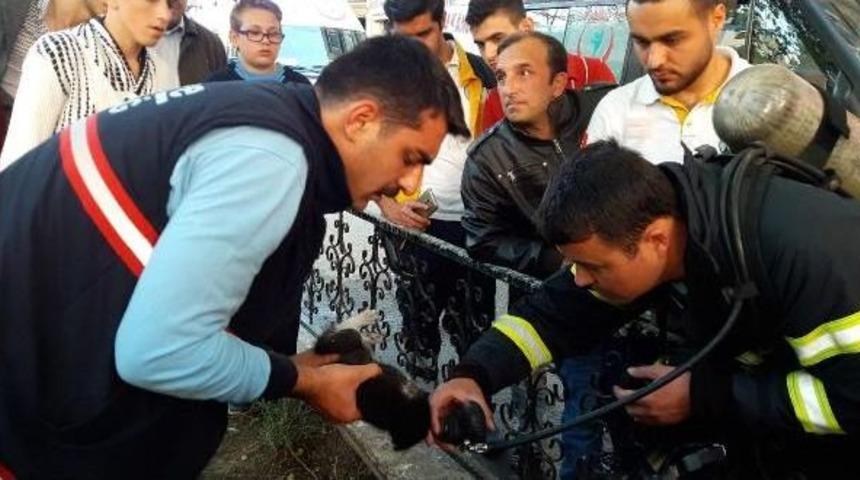 İtfaiye Eri, Yangında Kurtarılan Yavru Kediye Oksijen Verdi