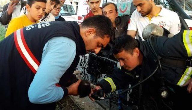 İtfaiye Eri, Yangında Kurtarılan Yavru Kediye Oksijen Verdi 2