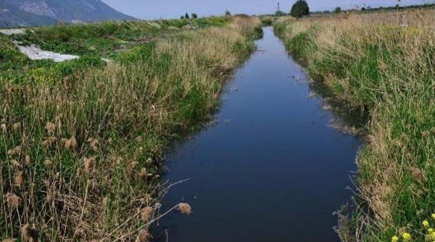 Nif &Ccedil;ayı'ndaki Kirliliğe &Ccedil;ift&ccedil;i Tepkisi