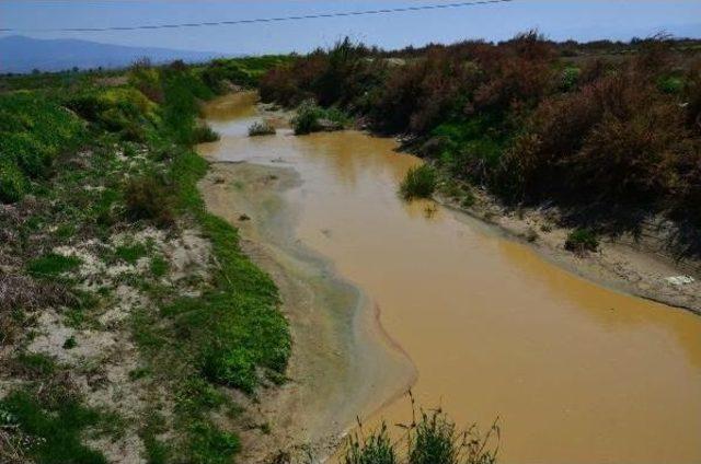 Nif Çayı'ndaki Kirliliğe Çiftçi Tepkisi