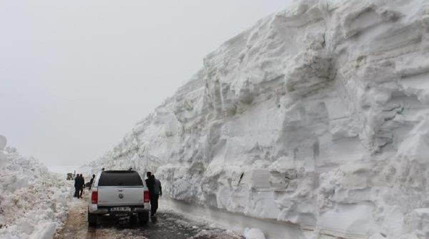 Muş, Olimpiyat Adaylığına Erzurum'a Ortak Olmak Istiyor