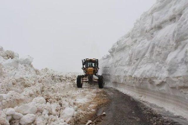 Muş, Olimpiyat Adaylığına Erzurum a Ortak Olmak Istiyor 1