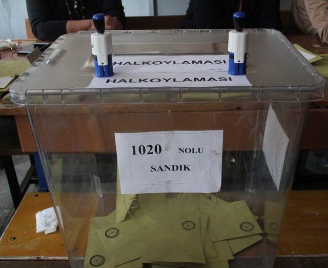 Adana Sandık Başında