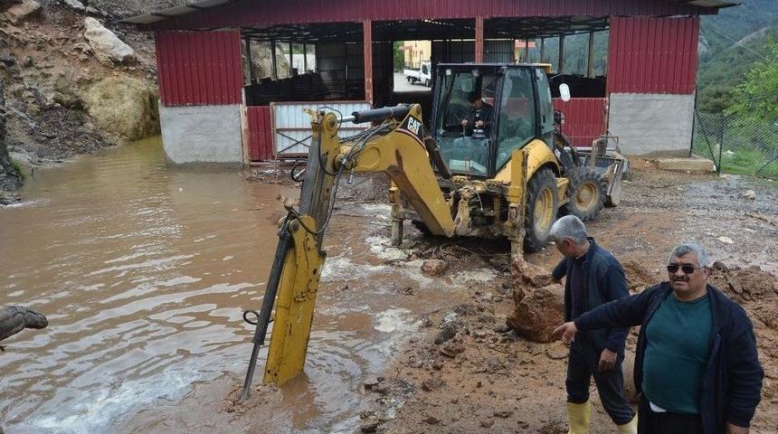 Sel Suları Ahırı Bastı, 23 K&uuml;&ccedil;&uuml;kbaş Hayvan Telef Oldu