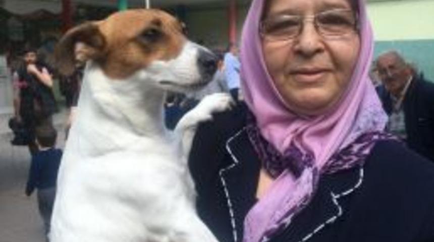 Oy Kullanmaya K&ouml;peğiyle Geldi