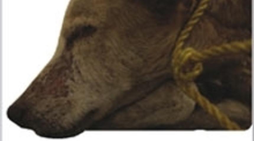 Hayvansever Kitap Ayra&ccedil;ları