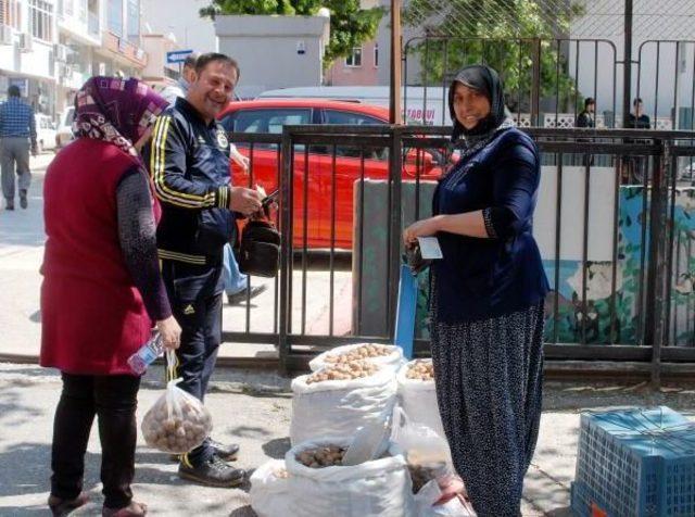 Kolları Olmayan Engelli Ağzıyla Oy Attı