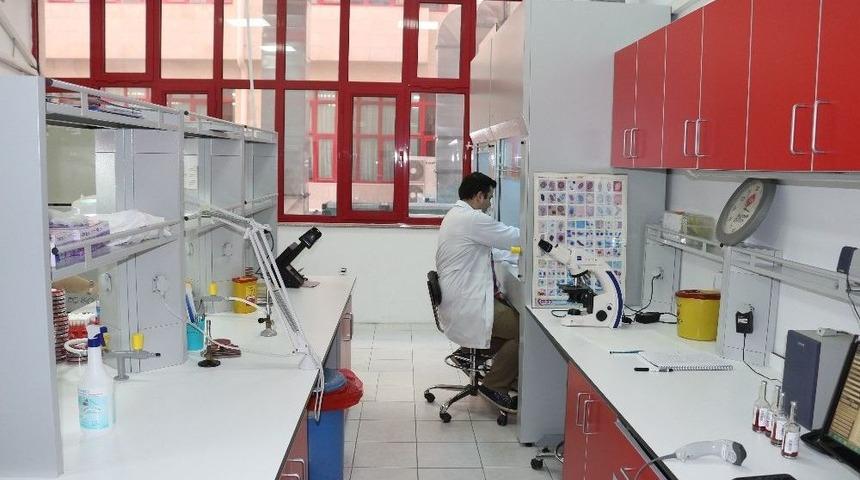 Be&uuml; Tıbbi Mikrobiyoloji Laboratuvarında Yenileme &Ccedil;alışmaları Yapıldı