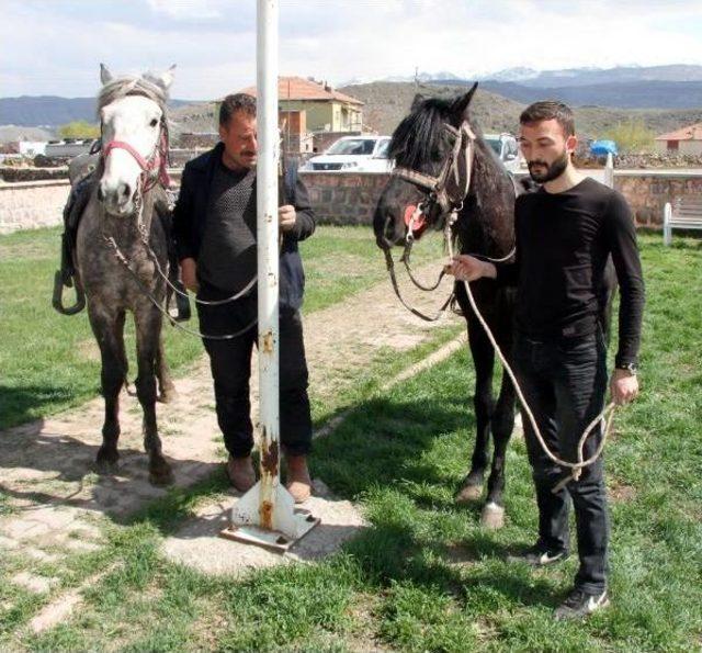 Seçmenler Oy Kullanmaya At Ile Gittiler