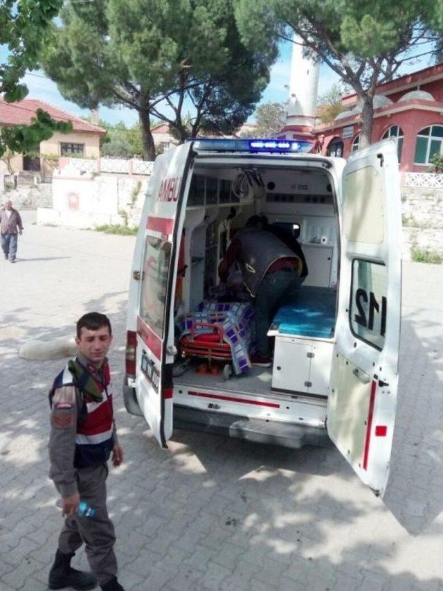 Ayvalıklı Hastalar Ambulanslarla Sandıklara Taşındılar 1