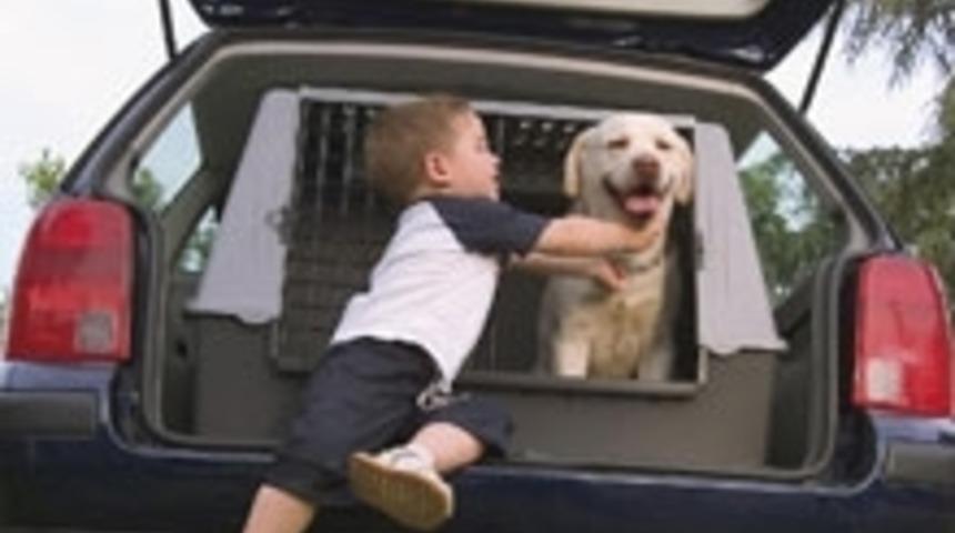 K&ouml;pekler İ&ccedil;in Araba Kulubesi