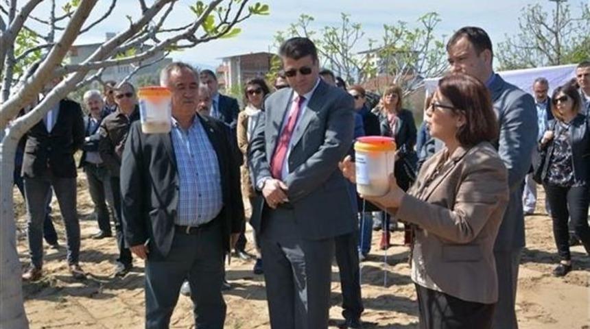 Aydın&rsquo;da Ekşilik B&ouml;ceğine Karşı Uygulamalı Eğitim