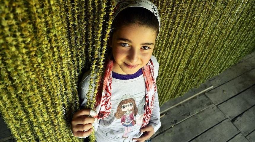 &lsquo;keşfedilmemiş Amasya&rsquo;nın Sonu&ccedil;ları A&ccedil;ıklandı