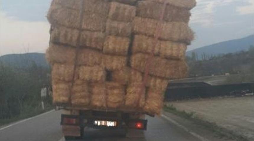 Tokat&rsquo;ta Trafiğe &Ccedil;ıkanlar G&ouml;zlerine İnanamadı
