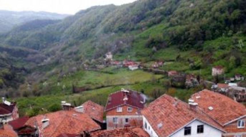 Kastamonu'da 4 K&ouml;yde Hi&ccedil; 'hayır' &Ccedil;ıkmadı